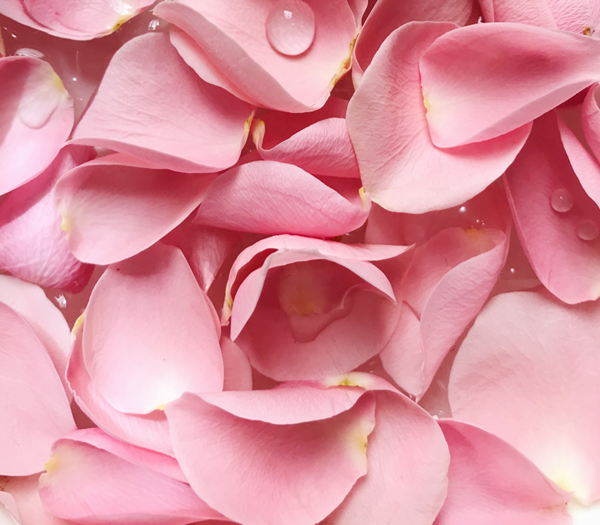 Chelsea Flowers moodboard 2