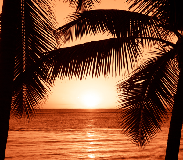 Hawaii moodboard 4