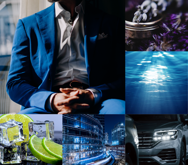 №11 by Leo EDP moodboard 1