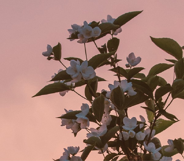 №12 Skye EDP moodboard 1